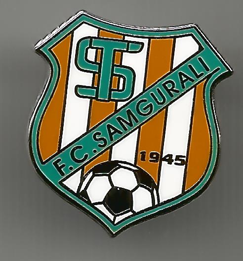Pin FC Samgurali Tskhaltubo